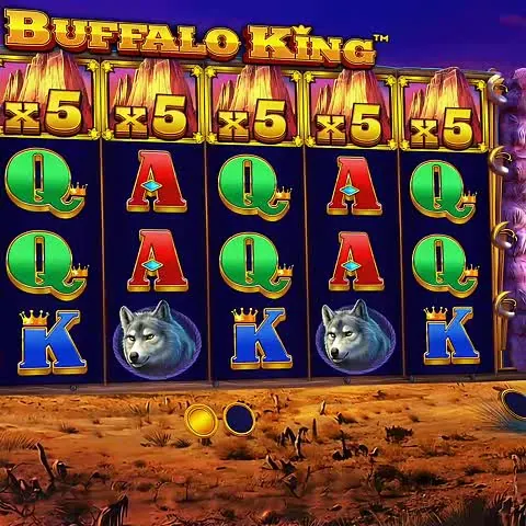 Buffalo King
